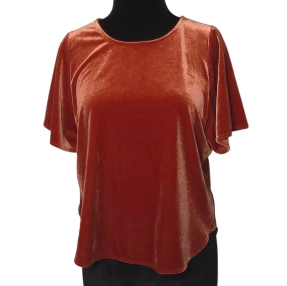 Madewell Velvet Butterfly Burnt Orange Stretch Cropped Top - S - Picture 3 of 10